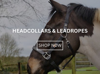 Headcollars & Leadropes