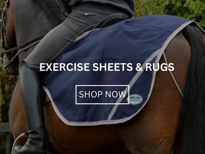 Exercise Sheets & Rugs