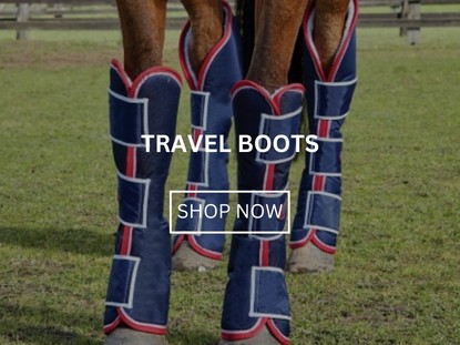 Travel Boots