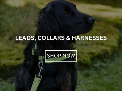 Leads, Collars and Harnesses