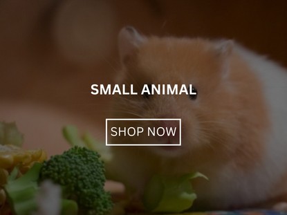 Small Animal