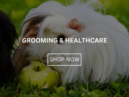 Grooming and Healthcare