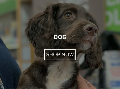 Dog Food Accessories