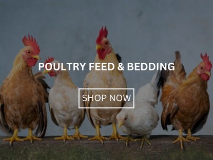 Poultry Feed & Bedding