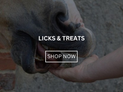 Licks & Treats