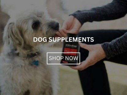 Dog Supplements