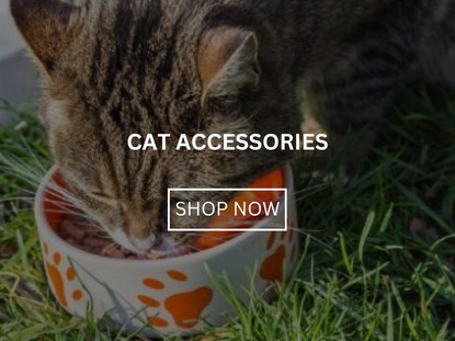Cat Accessories