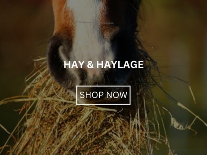 Hay & Haylage