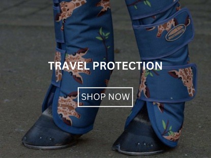Travel Protection