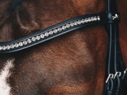 Browbands & Bridle Parts