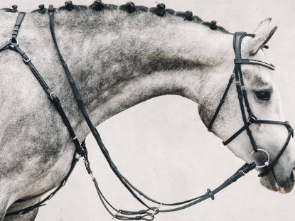 Breastplates & Martingales