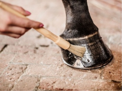 Hoof Care