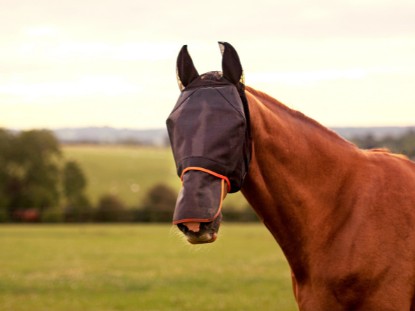 Fly Masks & Wear