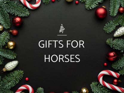 Gifts for your Horse Gifts for your Horse
