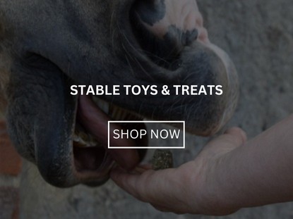 Stable Toys & Treats