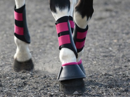 Horse Boots