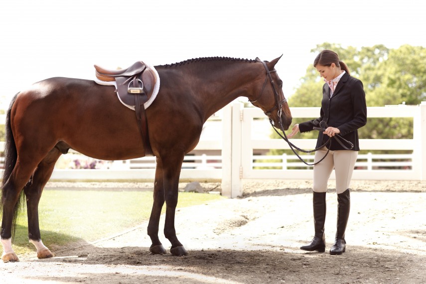 Ariat Competition Wear Ariat Competition Wear