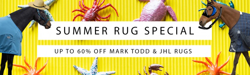 Summer Rug Special Summer Rug Special