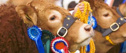 Royal Bath &amp; West Show
