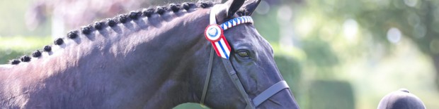 The Longines Royal International Horse Show 2023