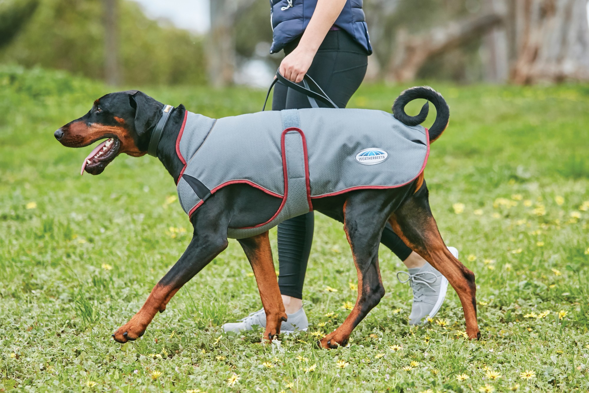 Weatherbeeta Comfitec Premier Free Parka Deluxe Dog Coat Medium (Grey