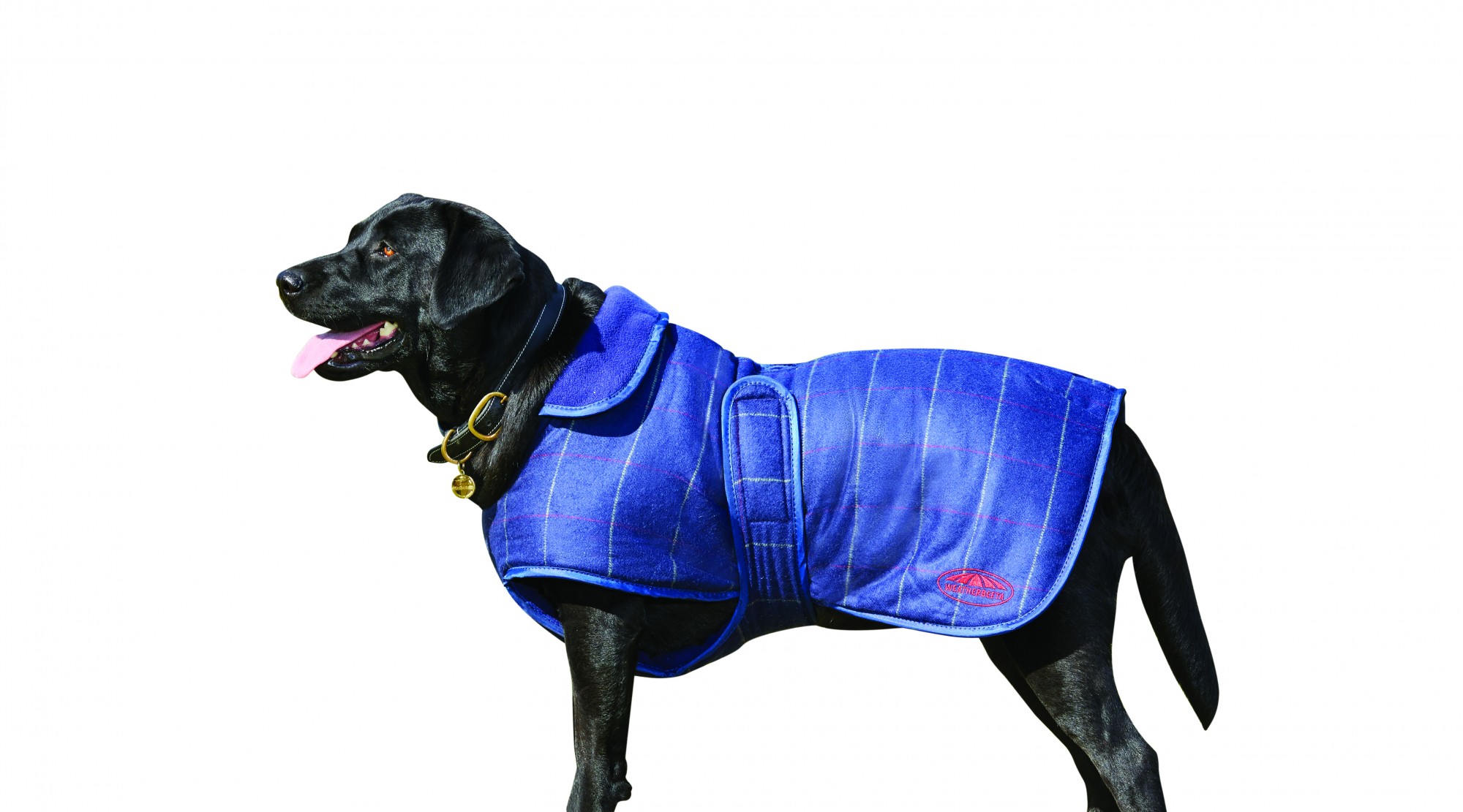 Weatherbeeta Comfitec Tweed Dog Coat Ii (Navy) Wychanger Barton