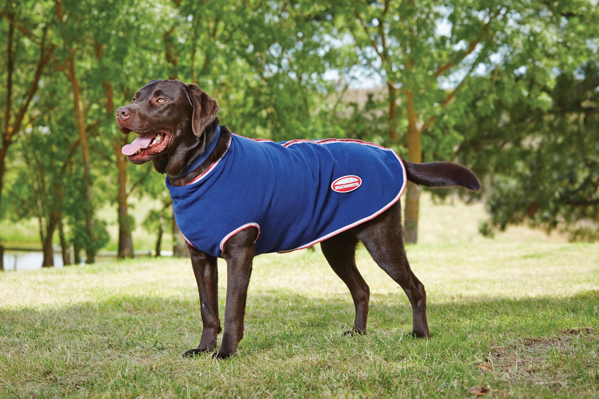 Weatherbeeta Fleece Zip Dog Coat (Navy/Red/White) Wychanger Barton