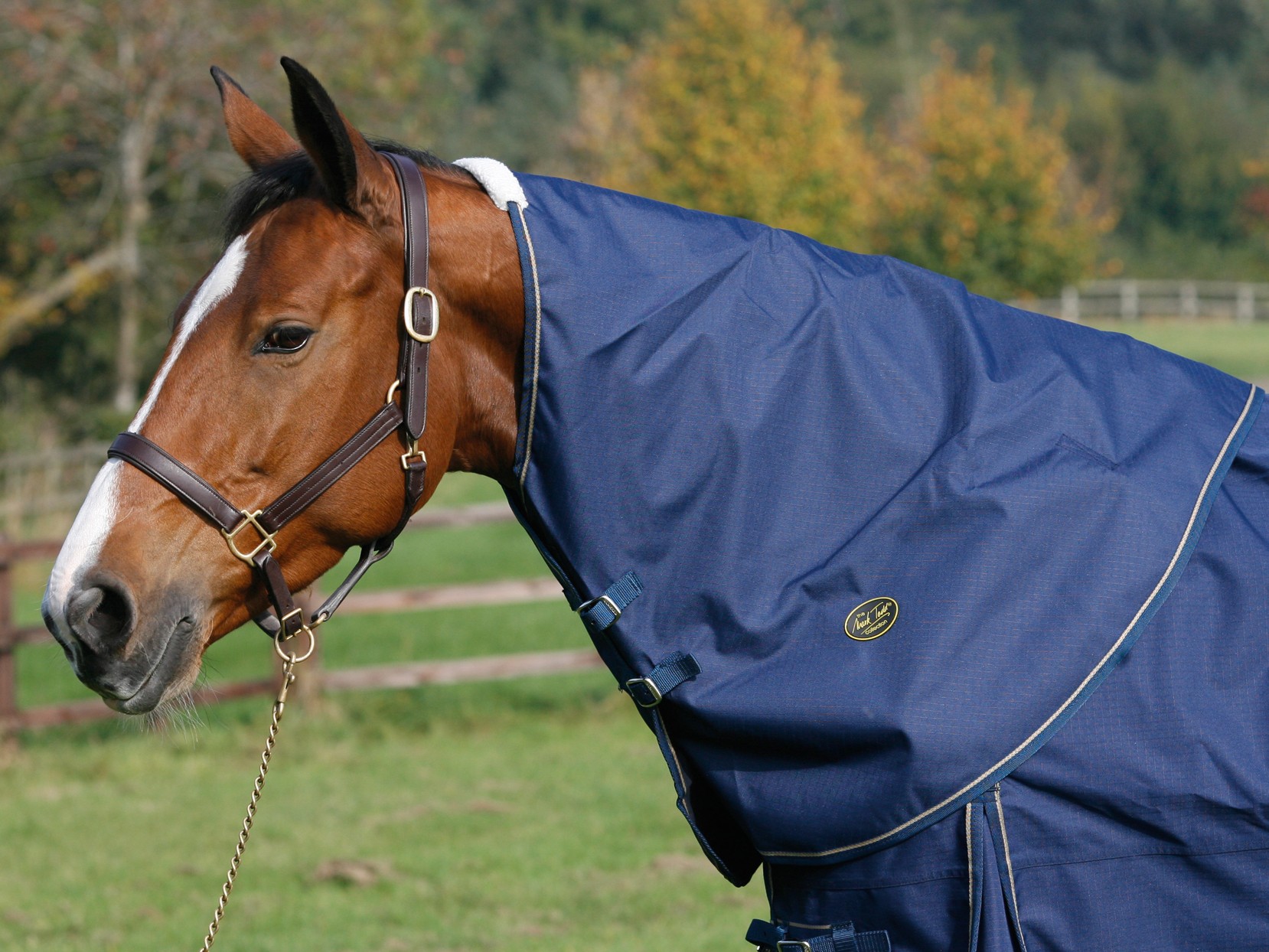Mark Todd Lightweight Turnout Neck Cover Navy Wychanger Barton