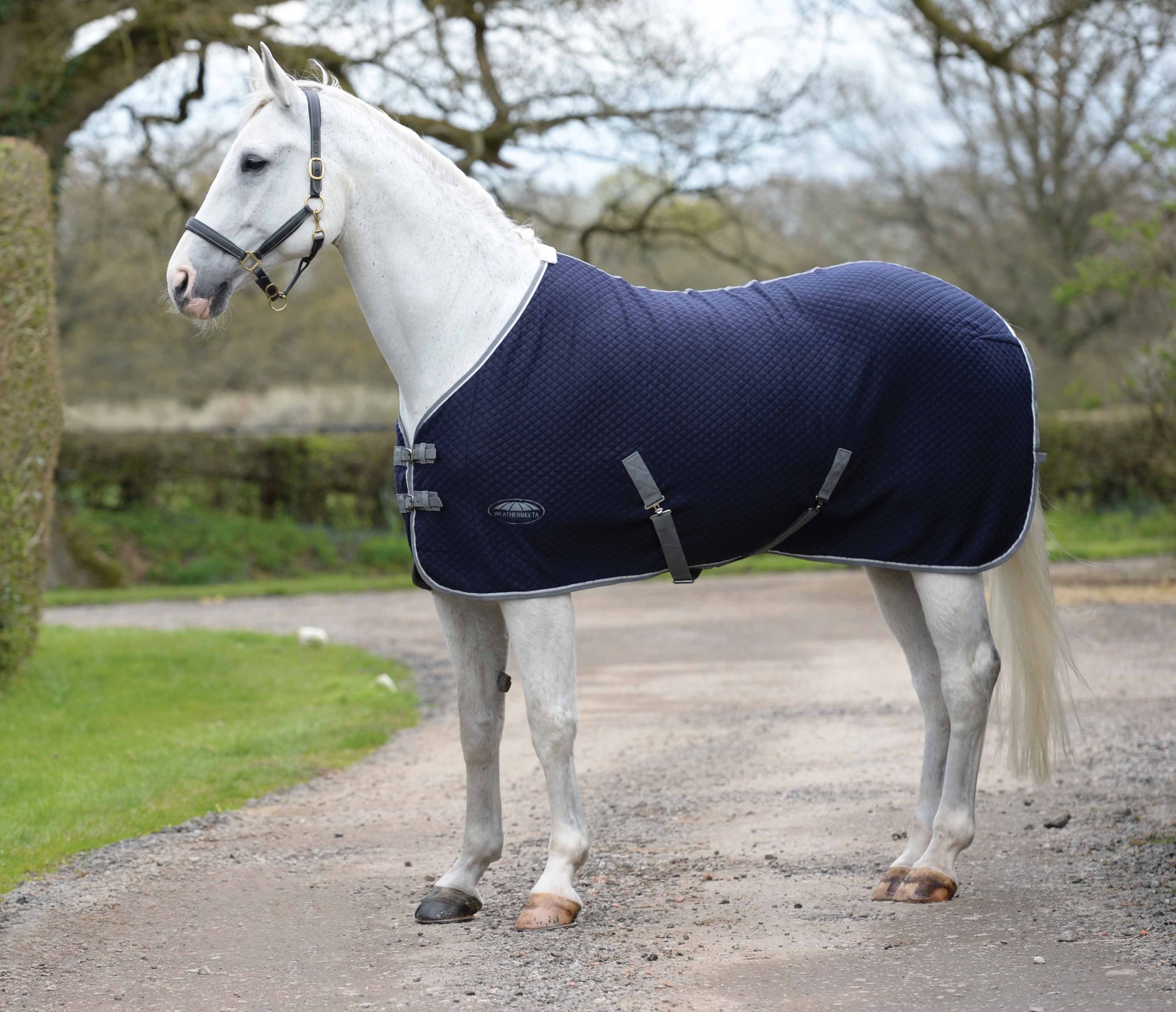 Navy/Grey/White 6'0 Details about   Weatherbeeta Thermic Quilt Cooler Standard Neck 