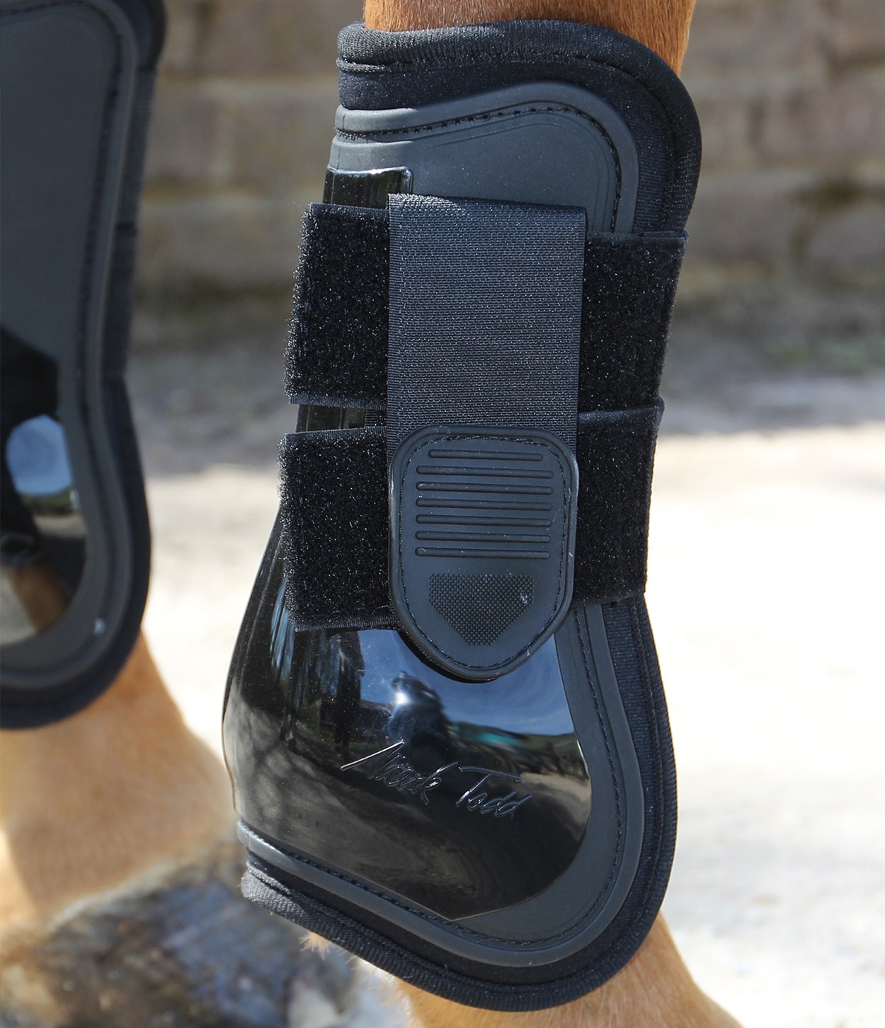 Mark Todd Tendon Boot Black - Wychanger Barton