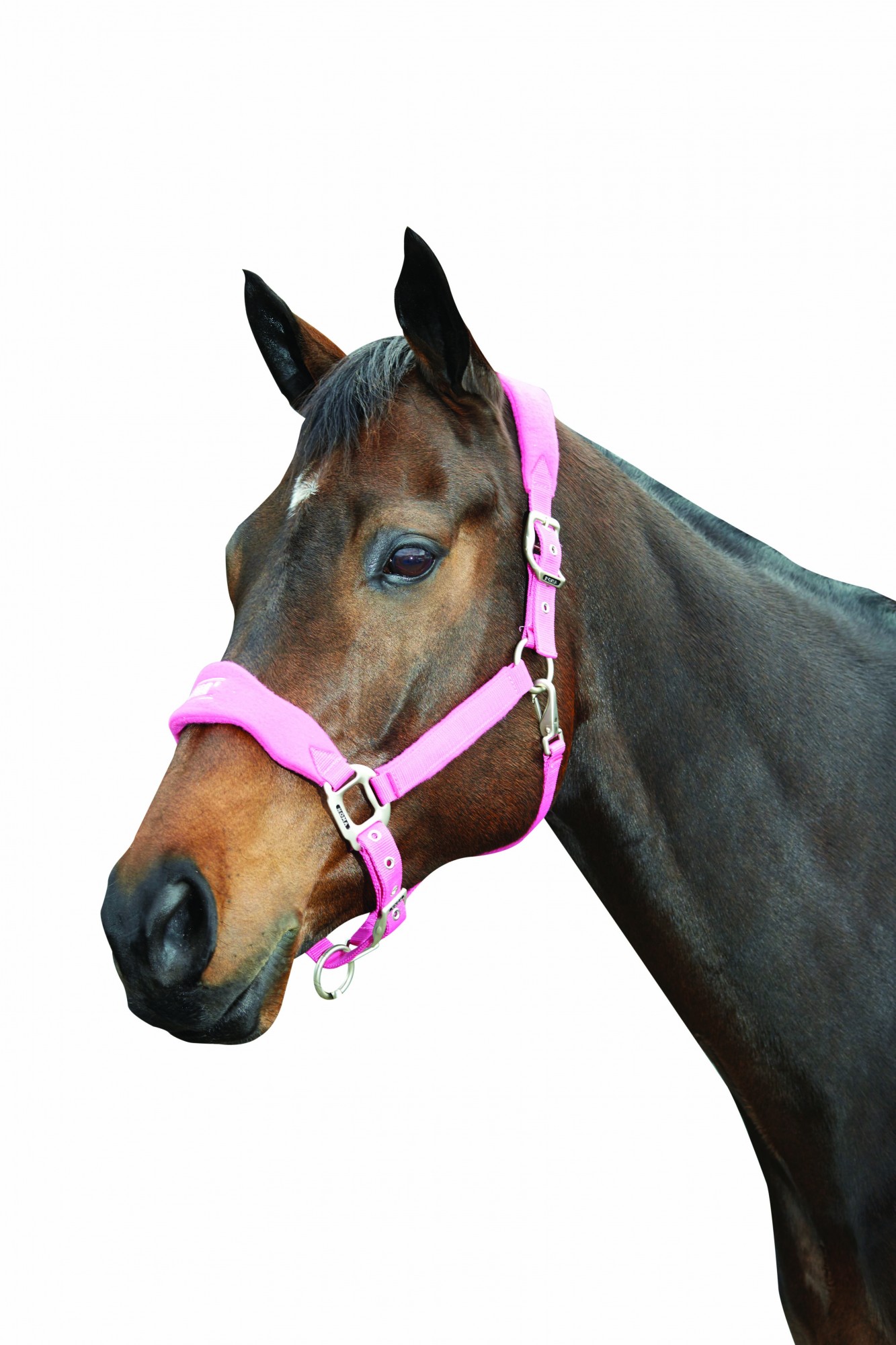 Roma Fleece Shaped Headcollar (Berry) Wychanger Barton