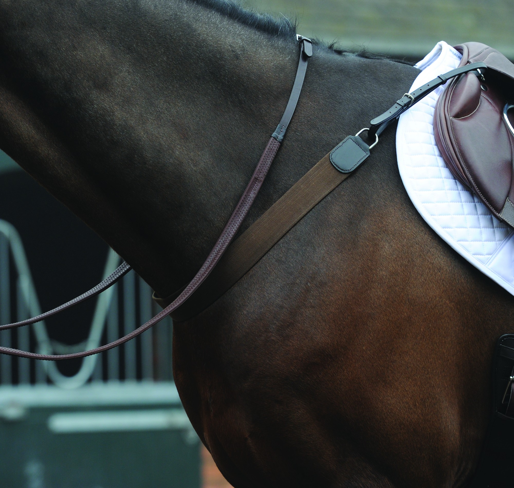 Kincade Elastic Showjumping Breastplate (Brown) Wychanger Barton