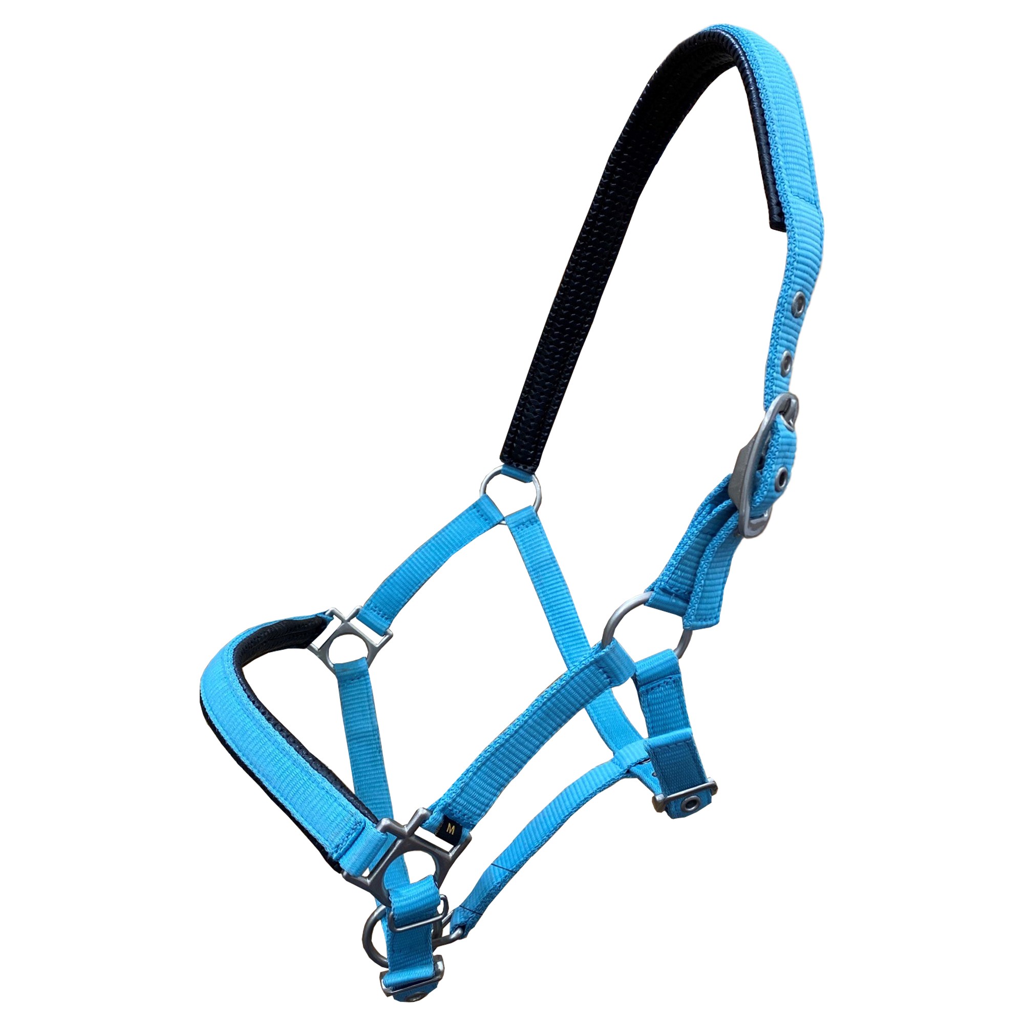 WBS Donkey Head Collar Wychanger Barton