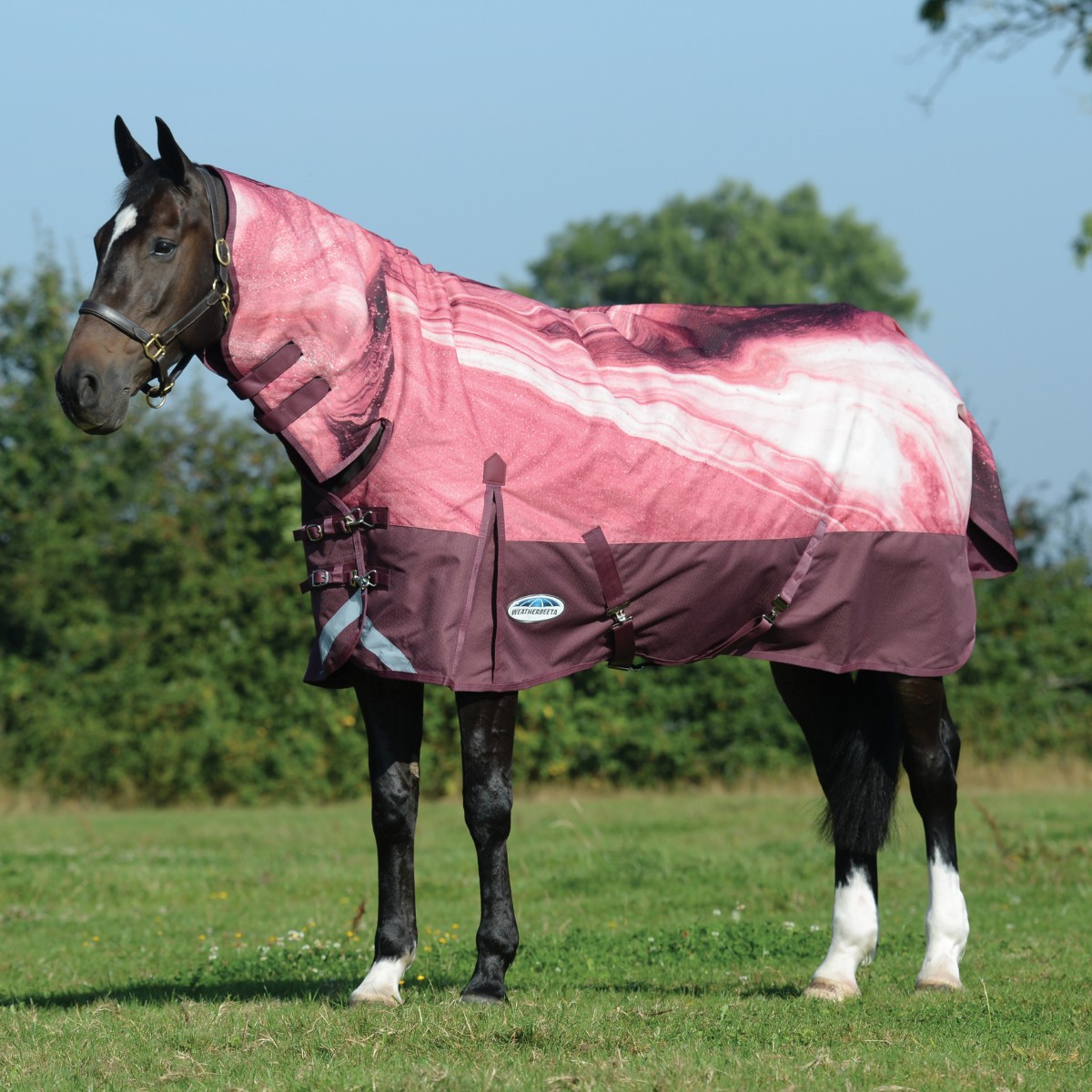 Weatherbeeta Comfitec Plus Dynamic II Detach a Neck Medium