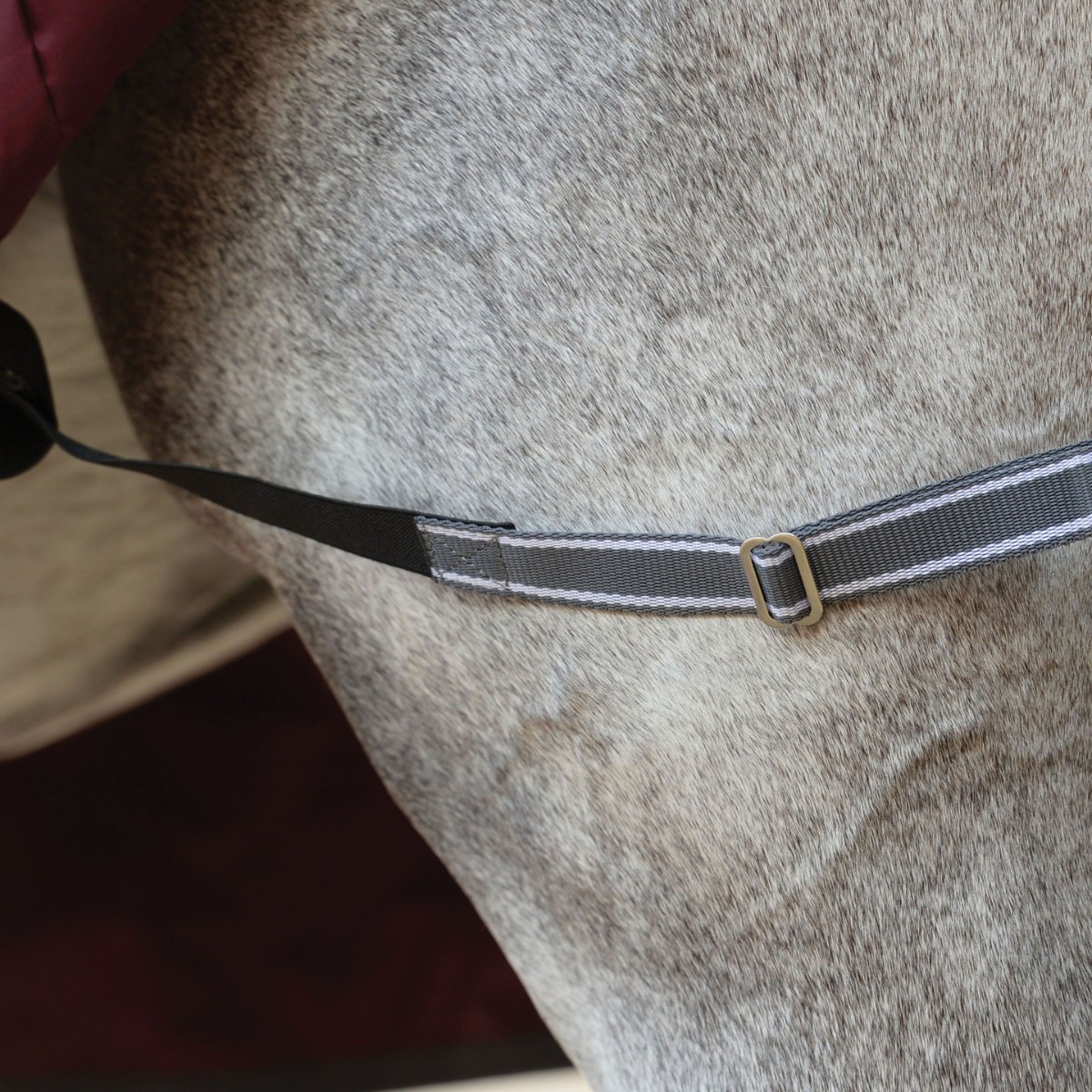 Coperta Per Cavallo WeatherBeeta ComFiTec Plus Dynamic II Con Collo - 220g, Viola