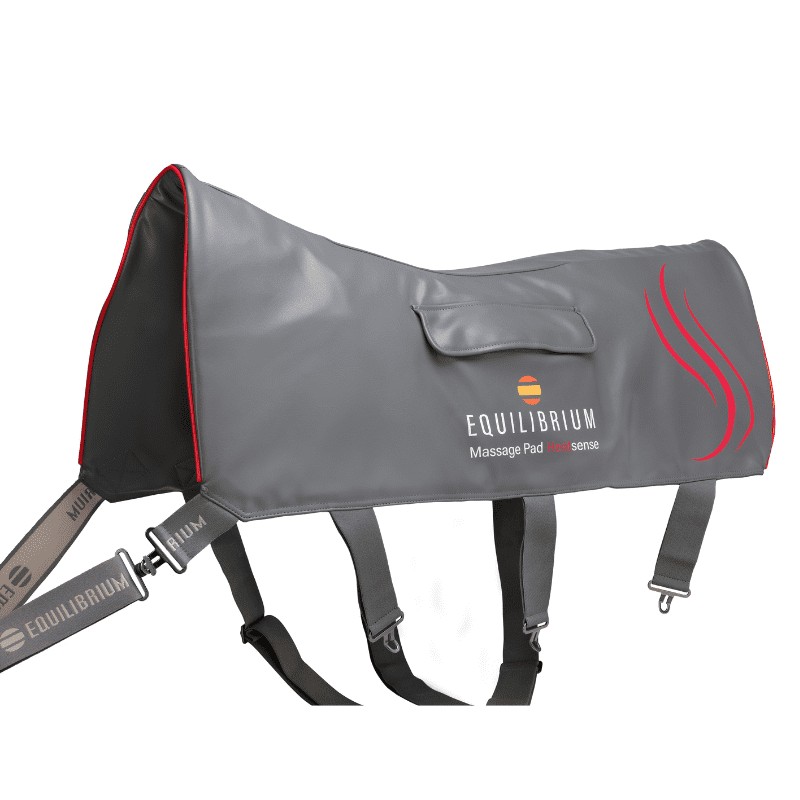 NEW Equilibrium Massage Pad Heatsense Wychanger Barton