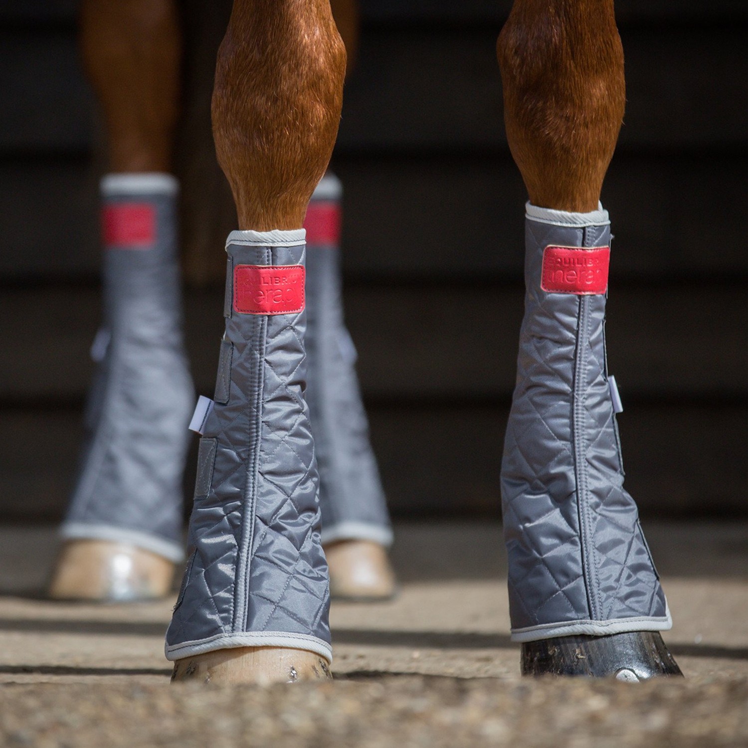 Magnetic boots for splints hotsell
