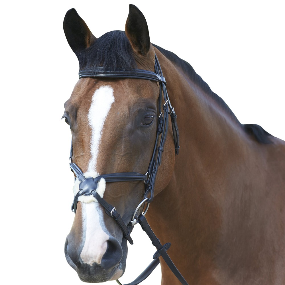 Mark Todd PADDED GRACKLE Bridle with Rubber Reins Cob/Full Size in Black/ Havana 