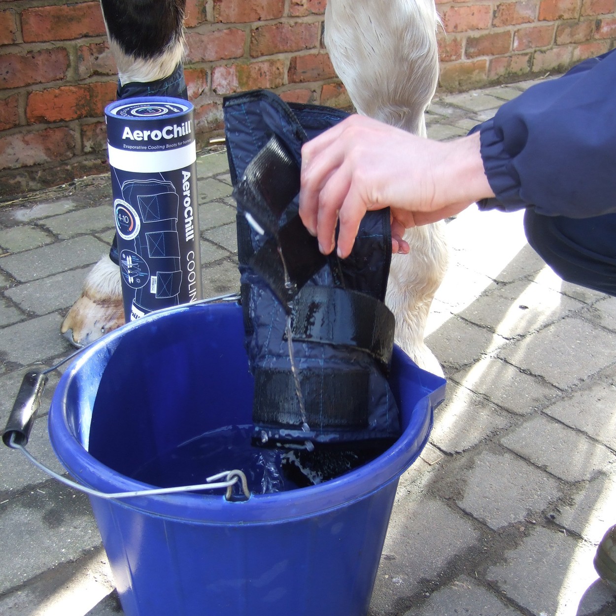 AeroChill Horse Cooling Boots Wychanger Barton