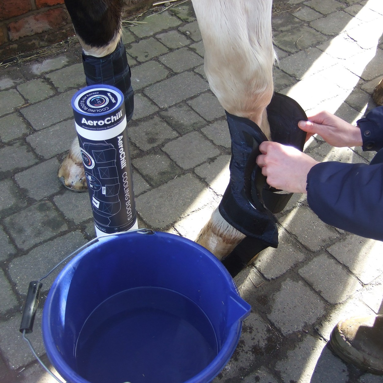 AeroChill Horse Cooling Boots Wychanger Barton