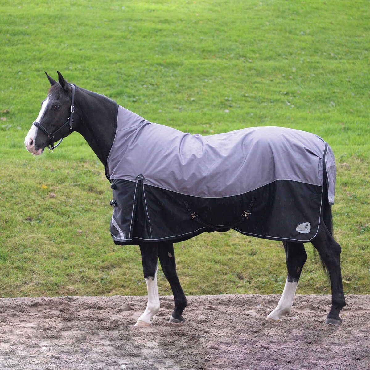 Masta Turnoutmasta 200g High Neck Turnout Rug Black Wychanger Barton