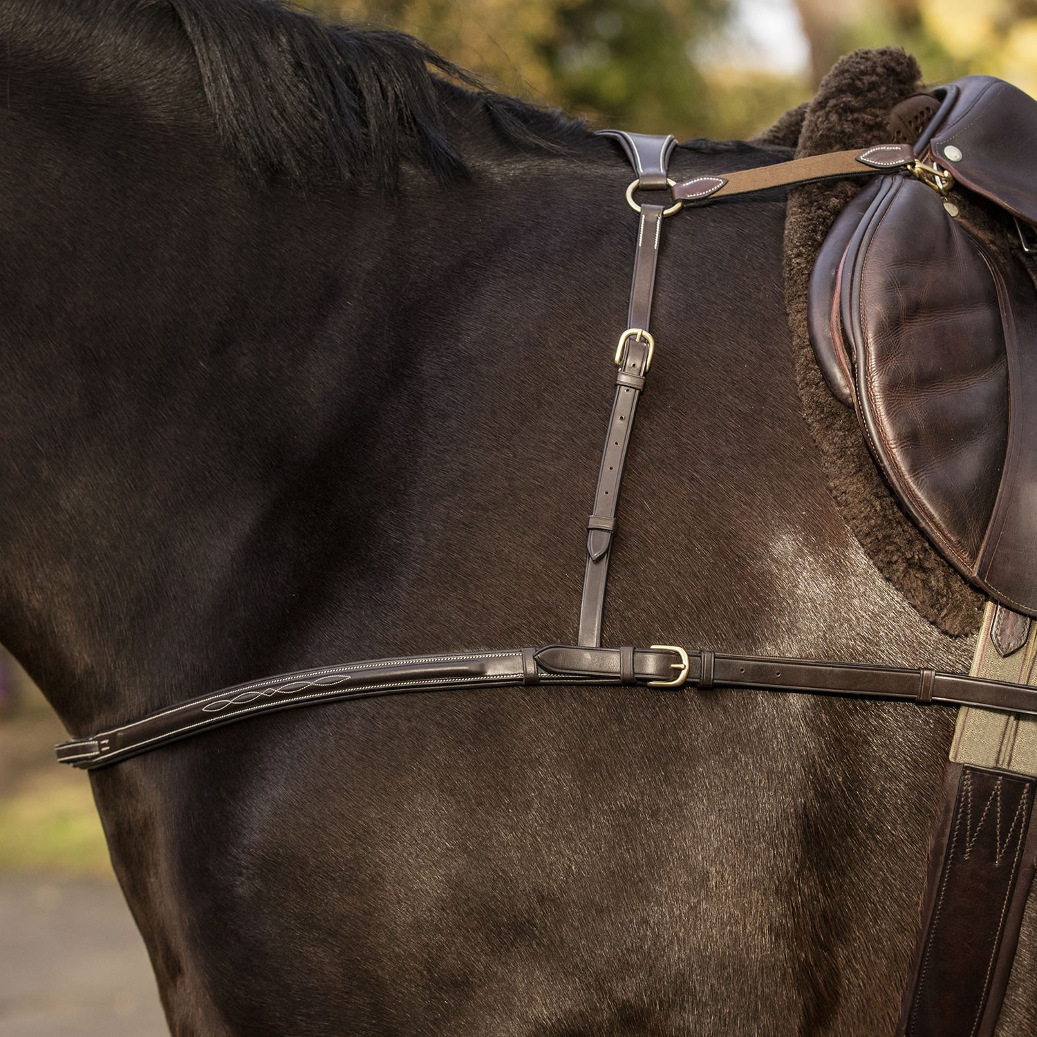Mark Todd 4Point Breastplate in Black Wychanger Barton