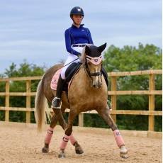 Woof Wear Vision Dressage Saddle Cloth (Rose Gold)