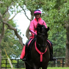 Equisafety Women's Cadence Waterproof Jacket (Pink)