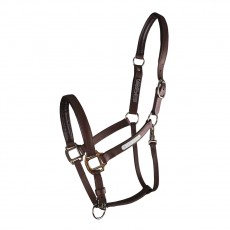 Equilibrium Stellar Headcollar (Brown)