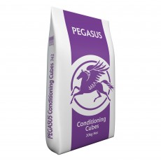 Pegasus Conditioning Cubes (20kg)