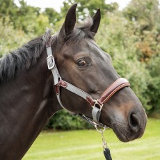 KM Elite Leather and Webbing Contrast Headcollar