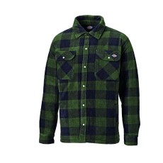 Dickies Portland Shirt (Green)