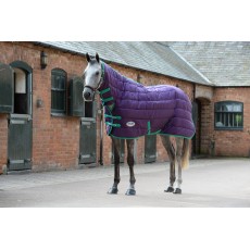 Weatherbeeta ComfiTec - 210D Channel Stable Rug - Combo - Medium (Purple/Green)