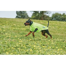 Weatherbeeta Comfitec Active Dog Coat (Orange)